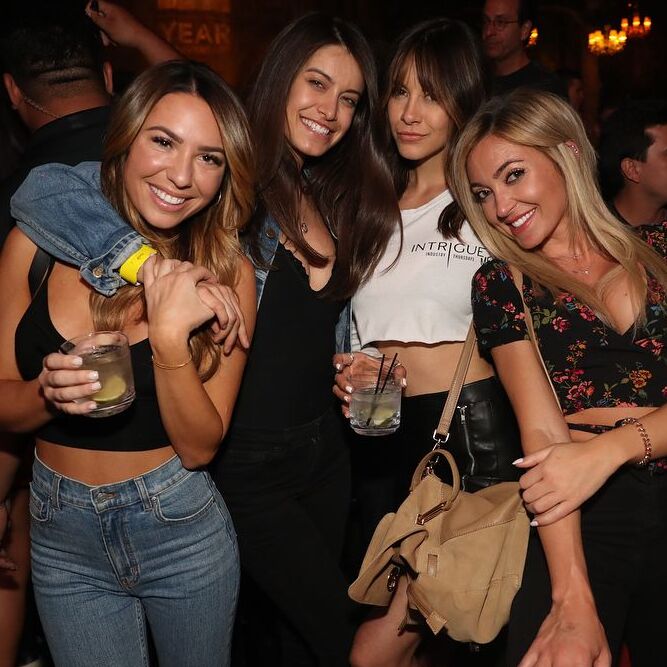 bebc BERLIN PARTY ANIMAL<BR> PUB CRAWL (private)